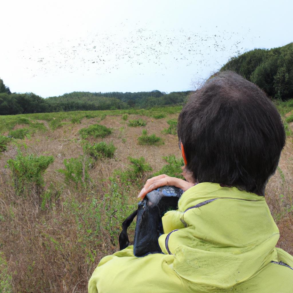 Person observing insects during migration